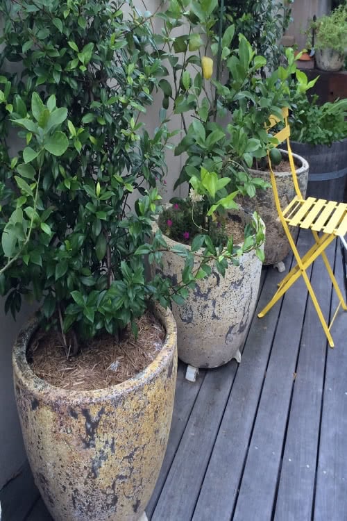 Atlantis Garden Pots Sydney Shop Online Today